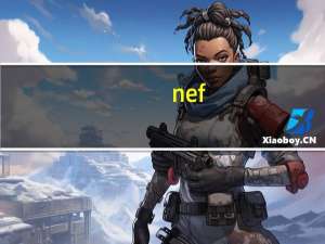 nef（nef）