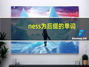 ness为后缀的单词