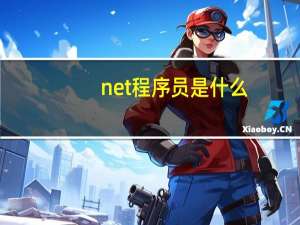 net程序员是什么
