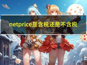 net price 是含税还是不含税