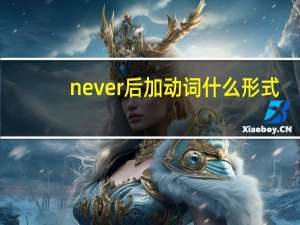 never后加动词什么形式