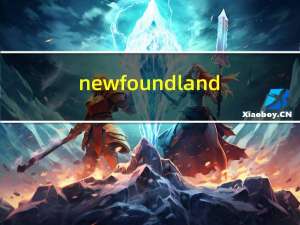 newfoundland（new f o）