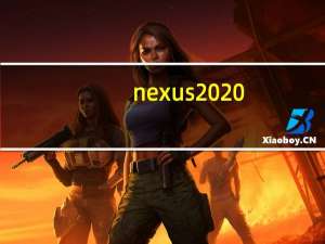 nexus 2020（nexus q）
