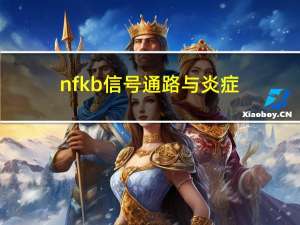 nfkb信号通路与炎症（akt信号通路）