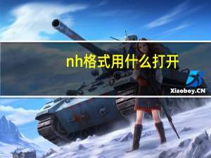 nh格式用什么打开（nh格式）