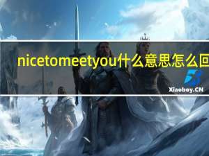 nicetomeetyou什么意思怎么回答
