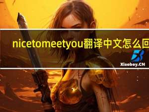 nice to meet you 翻译中文怎么回答