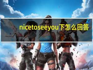 nice to seeyou下怎么回答