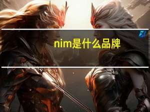 nim是什么品牌