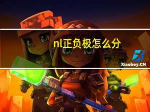nl正负极怎么分