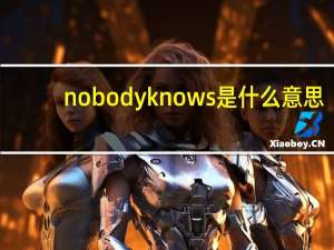 nobodyknows是什么意思