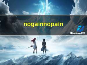 no gain no pain（no gain）