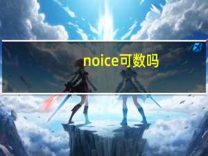 noice可数吗