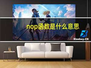 nop函数是什么意思