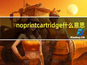 no print cartridge什么意思（no print cartridge）