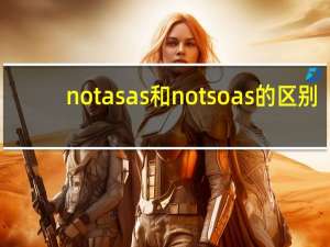 not as as 和not so as的区别