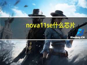 nova11se什么芯片