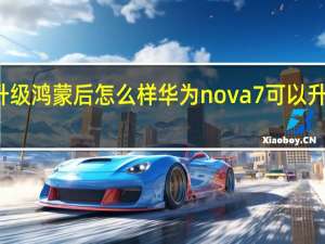 nova7升级鸿蒙后怎么样 华为nova7可以升级鸿蒙系统吗