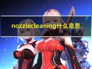 nozzle cleaning什么意思