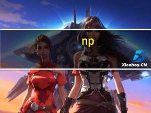 np（关于np的介绍）