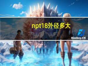 npt18外径多大
