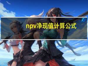 npv净现值计算公式