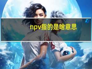 npv指的是啥意思