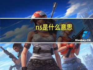 ns是什么意思