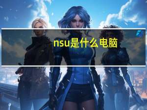 nsu是什么电脑