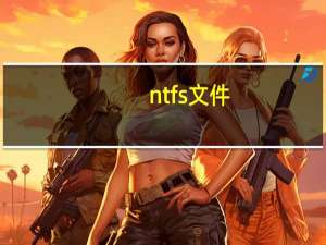 ntfs文件（ntfs格式）