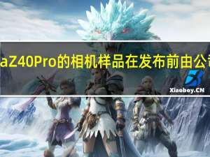nubiaZ40Pro的相机样品在发布前由公司高管分享