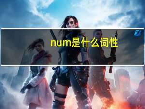 num是什么词性