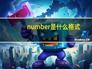 number是什么格式