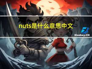 nuts是什么意思中文（nuts留学）