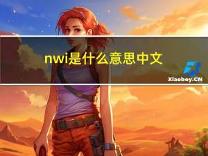 nwi是什么意思中文（nwiz是什么）