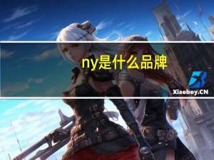 ny 是什么品牌