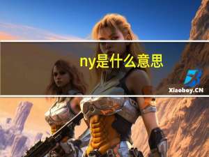 ny是什么意思