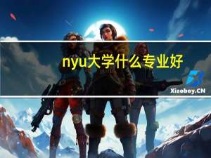 nyu大学什么专业好