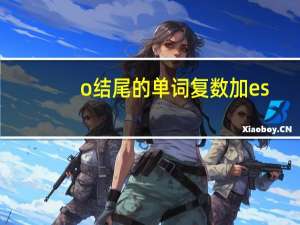 o结尾的单词复数加es