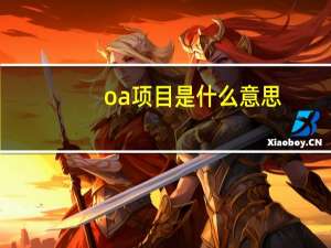 oa项目是什么意思