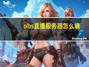 obs直播服务器怎么填