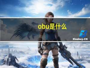 obu是什么