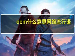 oem什么意思网络流行语（oem什么意思）