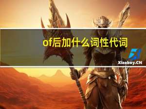 of后加什么词性代词