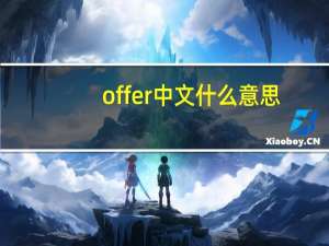 offer中文什么意思