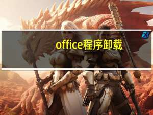 office程序卸载