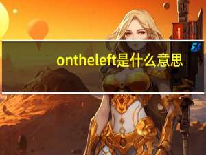 on the left是什么意思