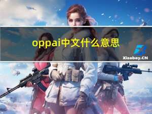 oppai中文什么意思（OPPAI是什么意思）