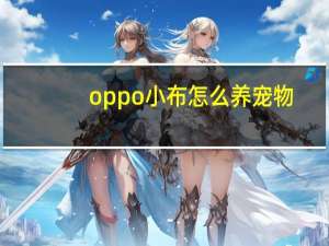 oppo小布怎么养宠物