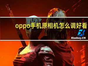 oppo手机原相机怎么调好看